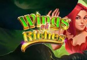 General information about Wings of Riches slot