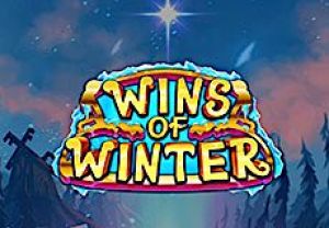 General information about Wins of Winter slot