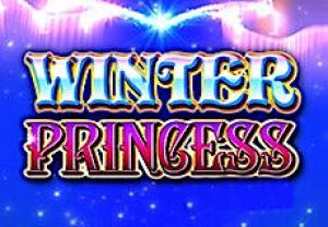 General information about Winter Princess slot