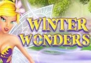 General information about Winter Wonders slot