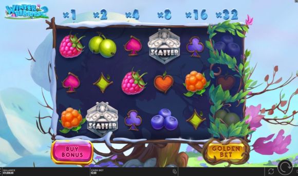 Winterberries 2