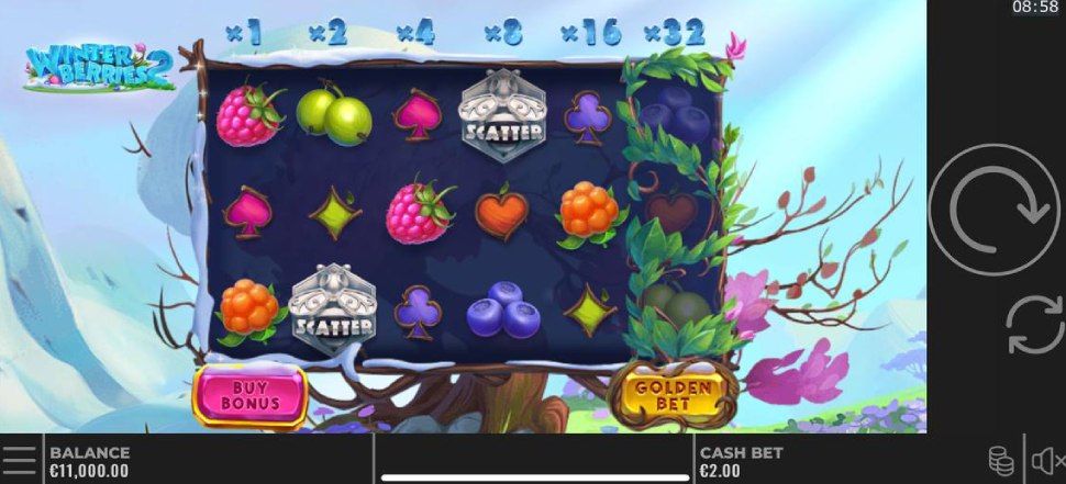 Winterberries 2 slot mobile