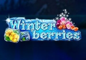 General information about Winterberries slot