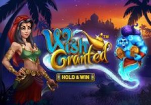 General information about Wish Granted slot