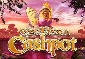 General information about Wish Upon a Cashpot slot