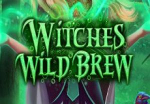 General information about Witches Wild Brew slot