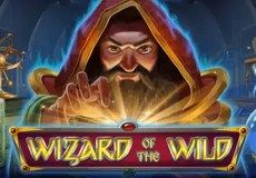 Wizard of the Wild