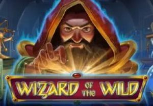 General information about Wizard of the Wild slot