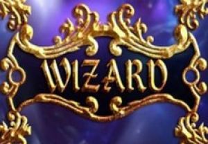 General information about Wizard slot