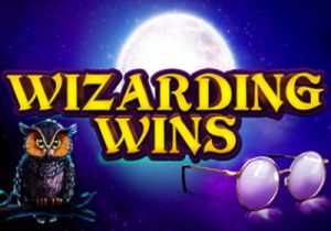 General information about Wizarding Wins slot