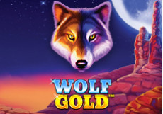 Wolf Gold Slot Review Logo