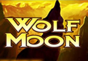 General information about Wolf Moon slot