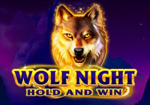 General information about Wolf Night Hold and Win slot