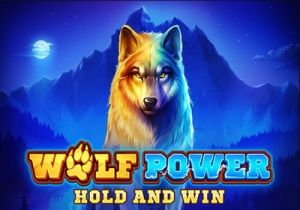 General information about Wolf Power: Hold and Win slot