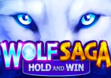Wolf Saga Hold and Win