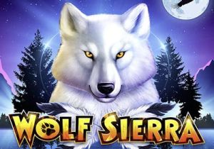 General information about Wolf Sierra slot