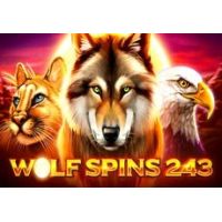 wolf spins 243