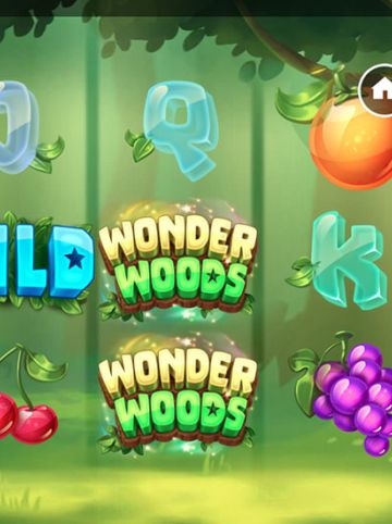 Wonder Woods