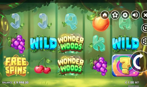 Wonder Woods