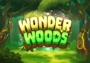 General information about Wonder Woods slot