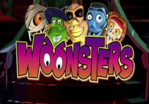 General information about Woonsters slot