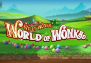 General information about World of Wonka slot