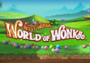 General information about World of Wonka slot