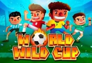 General information about World Wild Cup slot