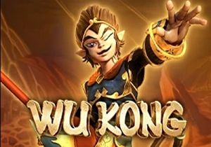 General information about Wu Kong slot