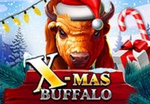 General information about X-Mas Buffalo slot