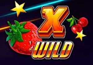 General information about X-Wild slot