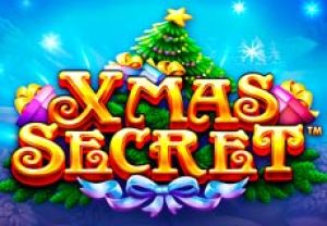 General information about Xmas Secret slot