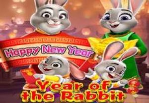 General information about Year of the Rabbit slot