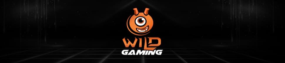 Wild Gaming Slots