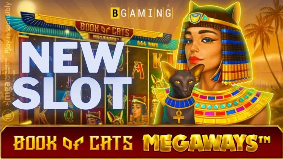 Book of Cats Megaways Slot Review | Free Play video preview