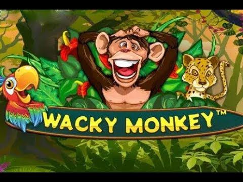 Wacky Monkey Chase 'N' Win Slot Review | Free Play video preview
