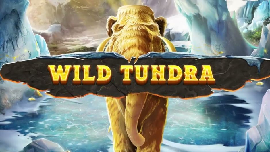 Wild Tundra Slot Review | Demo & Free Play | RTP Check video preview