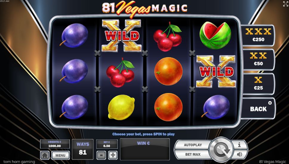 81 Vegas Magic slot - feature
