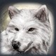 White Wolf symbol