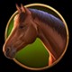 Farm horse symbol