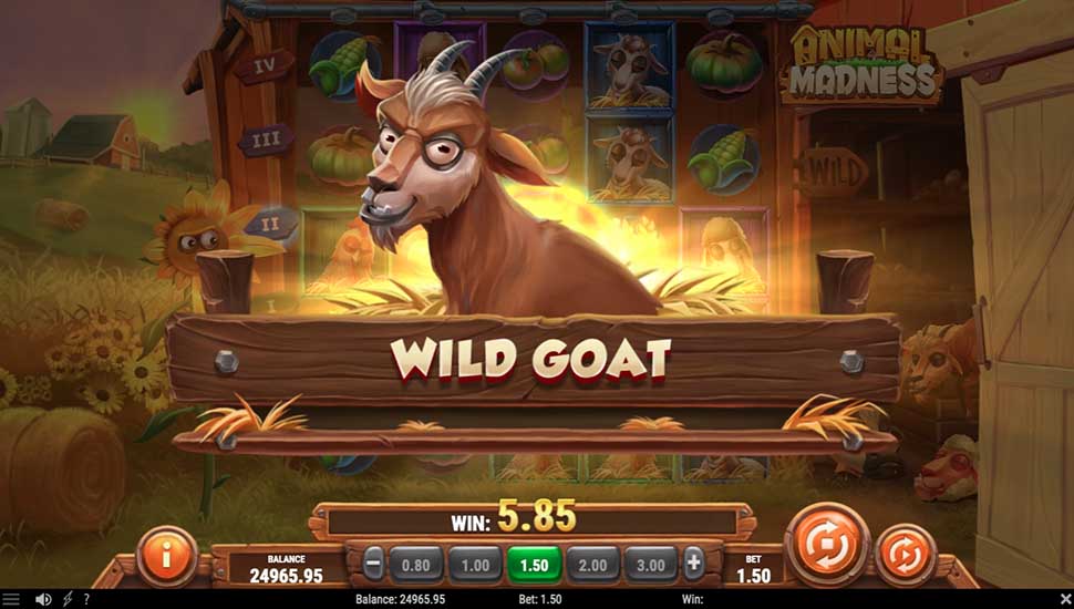 Animal Madness slot Wild Goat