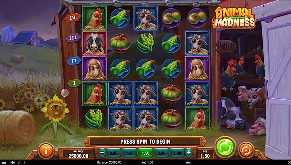 Animal Madness  slot preview