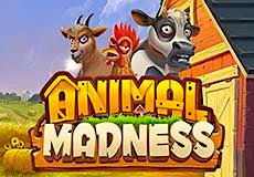 Animal Madness  slot Logo