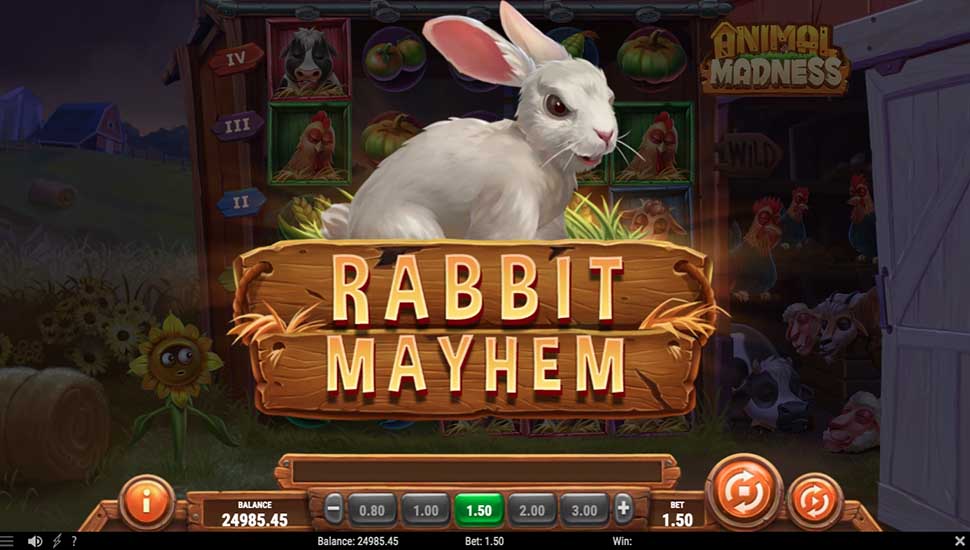 Animal Madness slot Rabbit Mayhem Feature