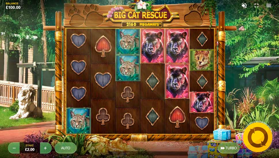 Big Cat Rescue MegaWays Slot