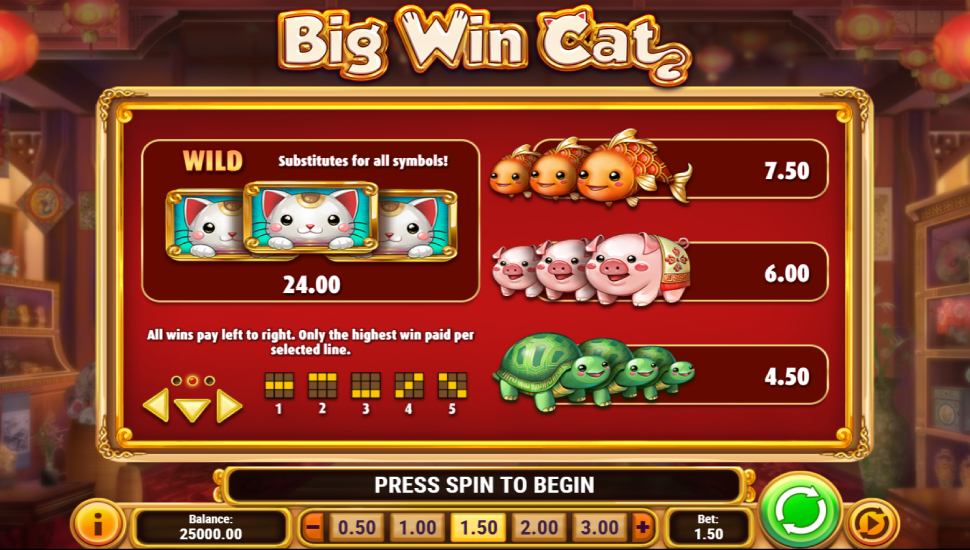 Big win cat slot - payouts