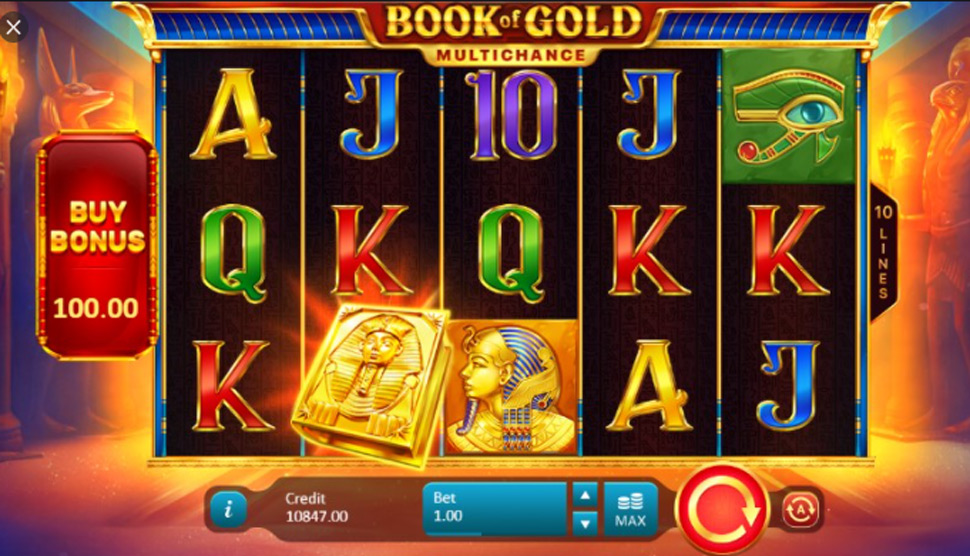 Book of Gold Multichance - Slot