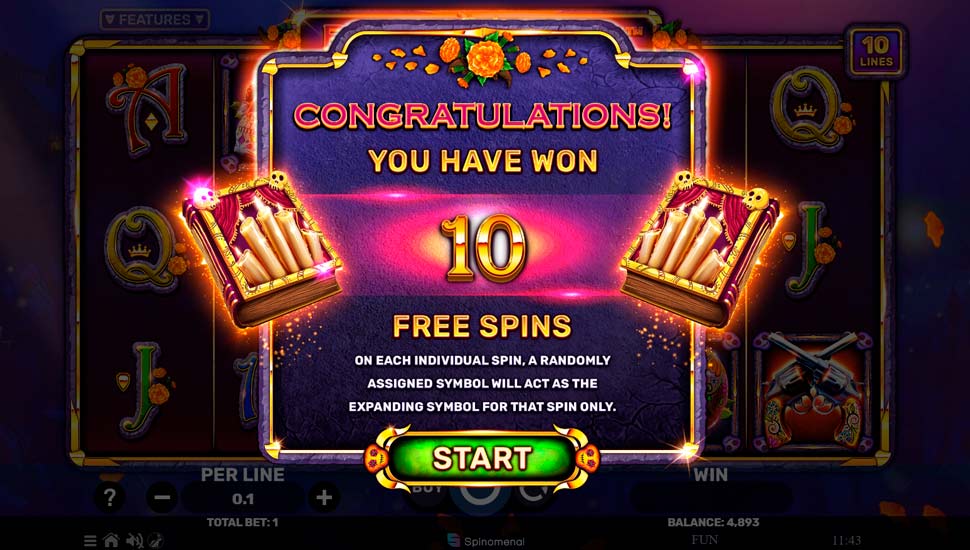 Book of muertos slot Free Spins