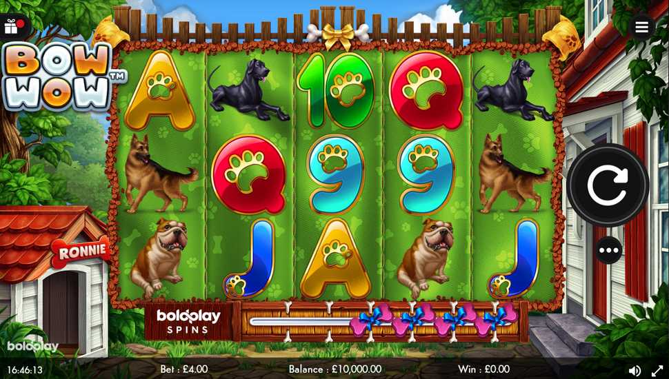 Bow Wow