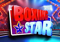 Boxing Star Slot - Review, Free & Demo Play logo